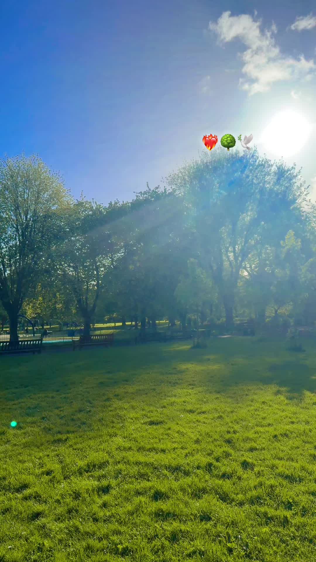 @Nimrainuk🏴🇬🇧