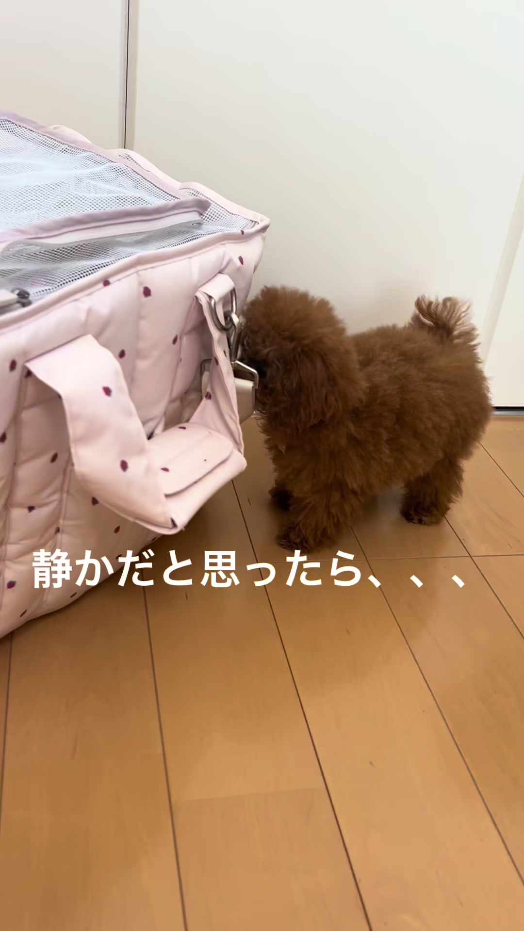 @もこ