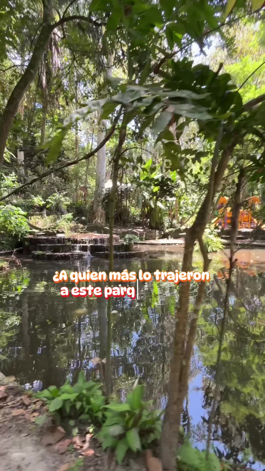 @veracruzmarysol
