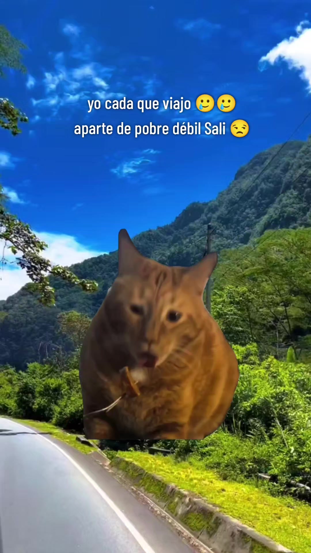 @ᥫ᭡𝐴𝑟𝑎𝑐𝑒𝑙𝑙𝑦✧⃝🩷🪽