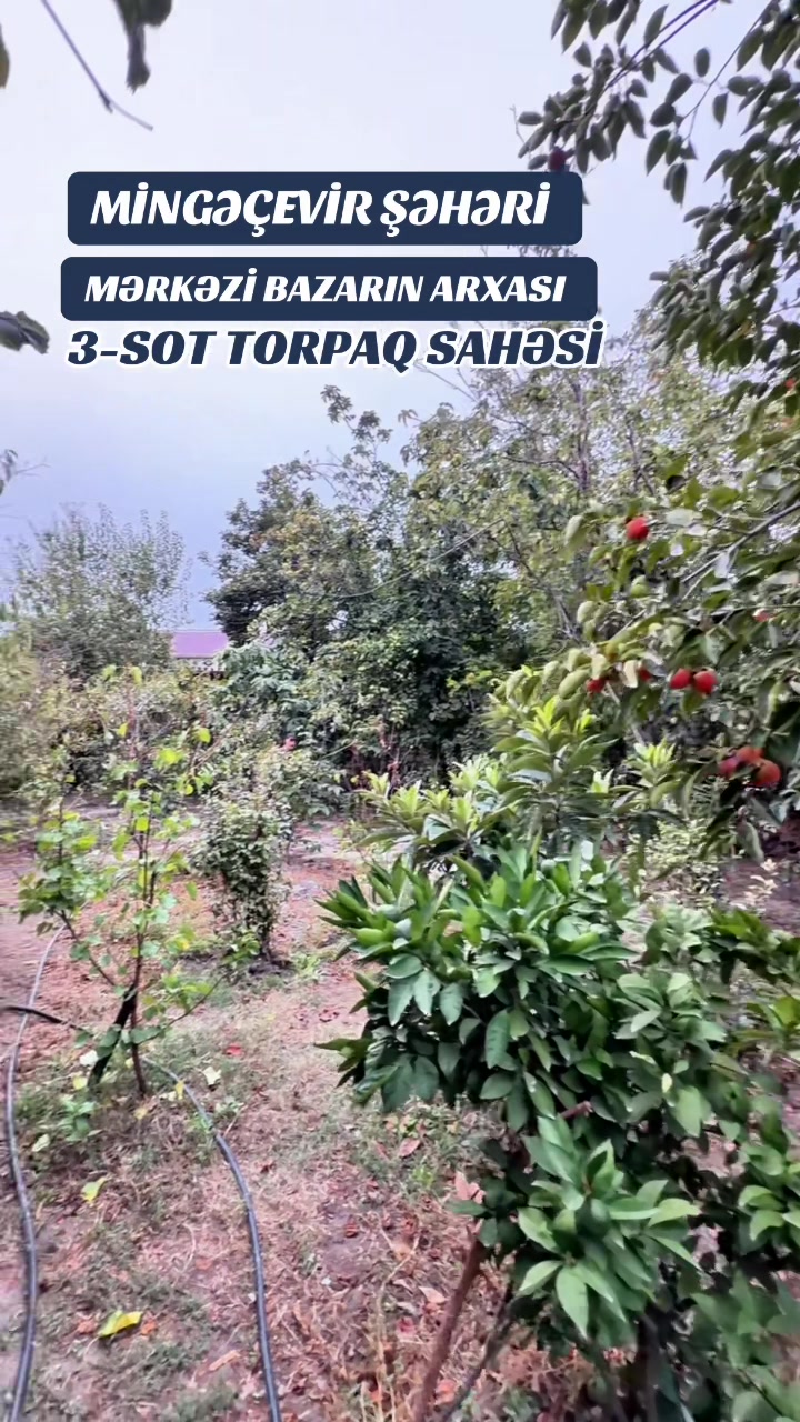 @SALƏDDİN BAXŞƏLİYEV