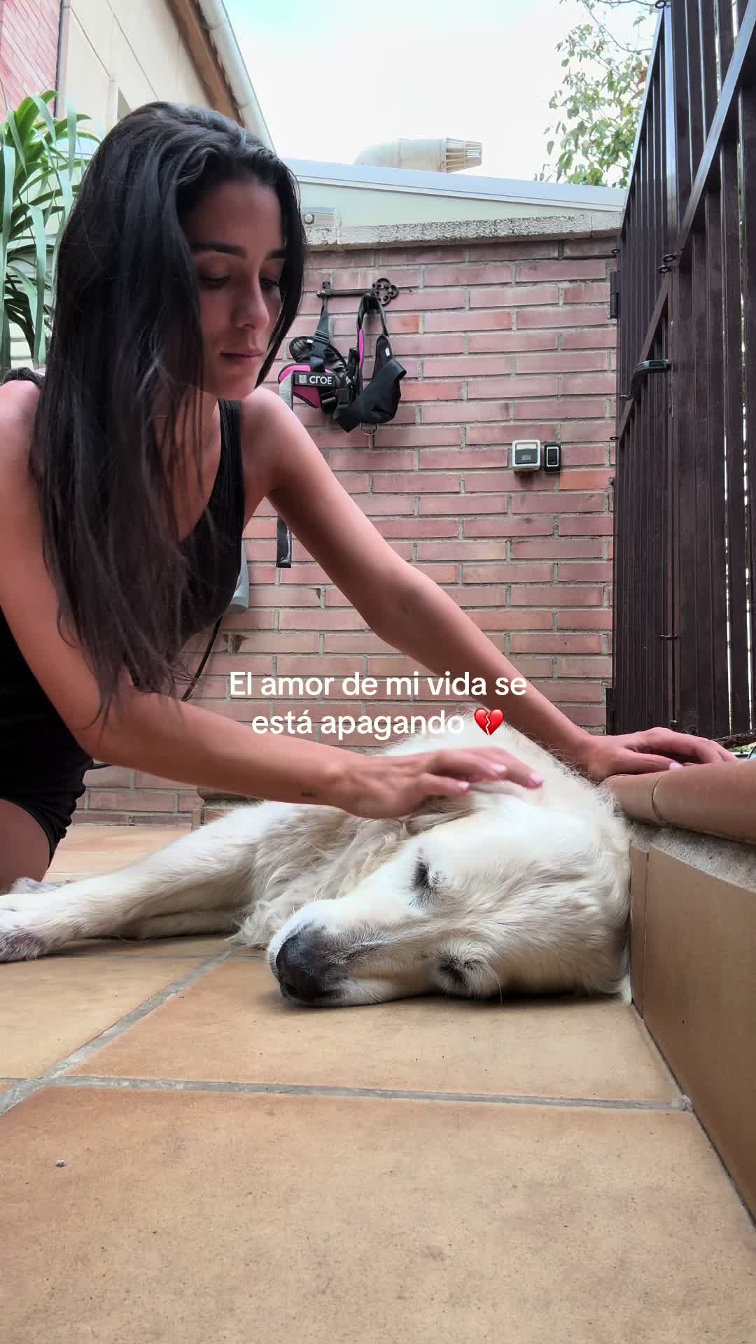 @Claudia Martinez