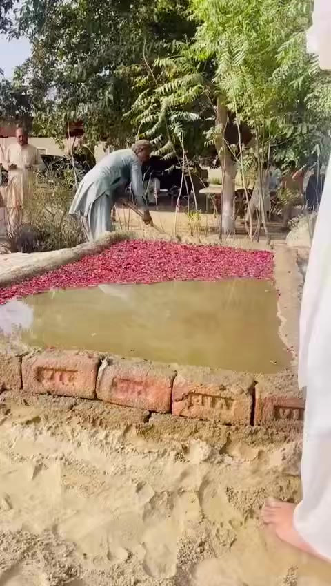 @FanAmmer Abbas Khan sial da