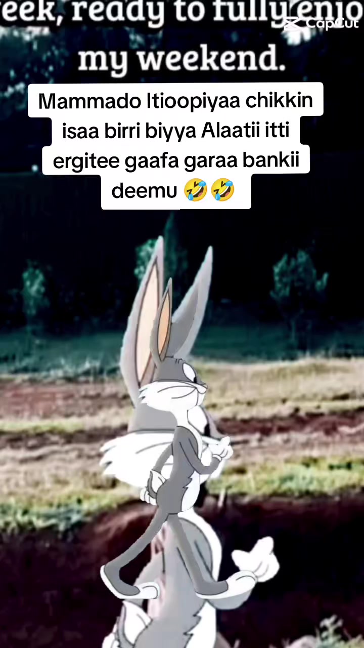 @miliyon Girma