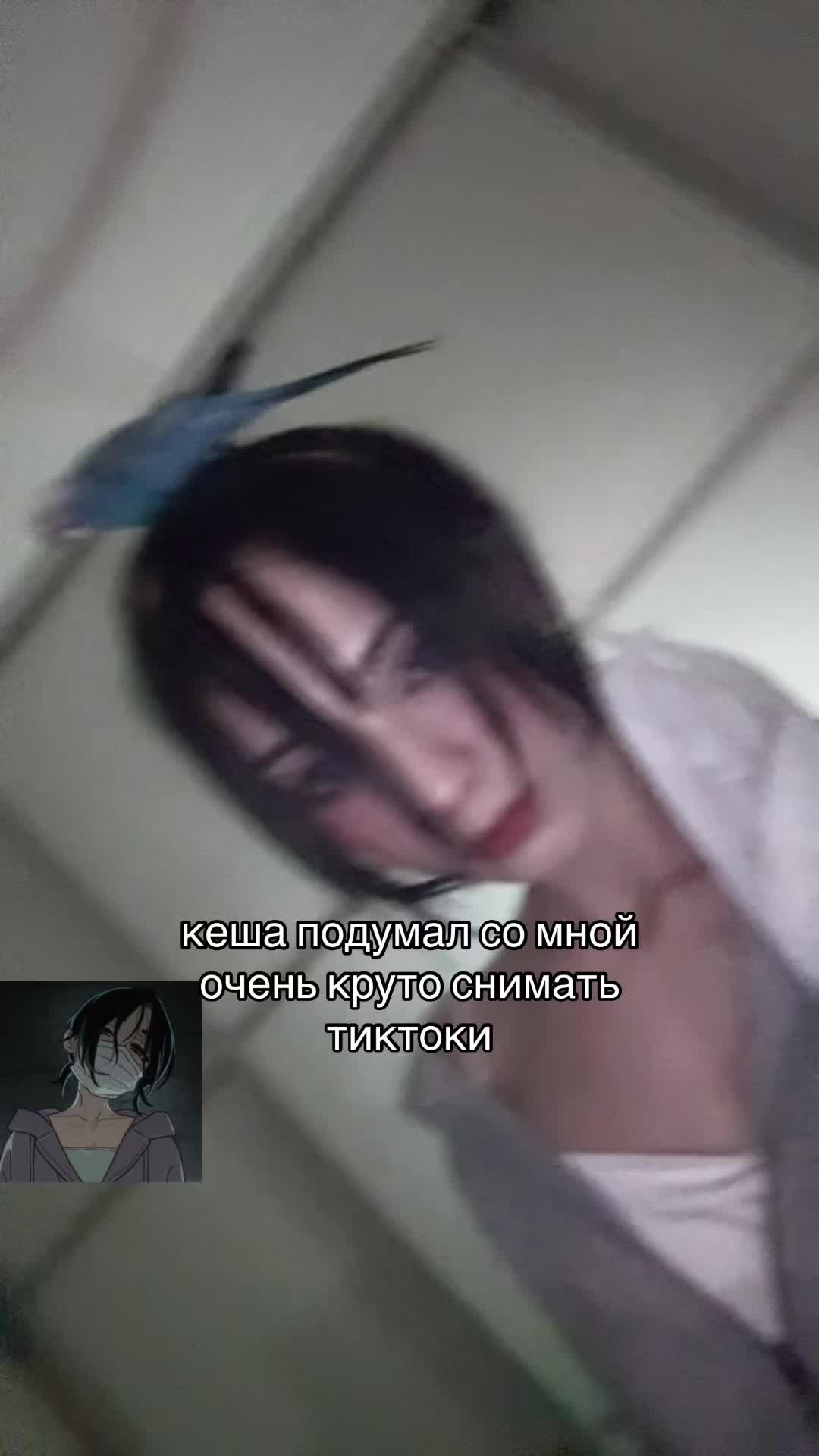 @Тефричка