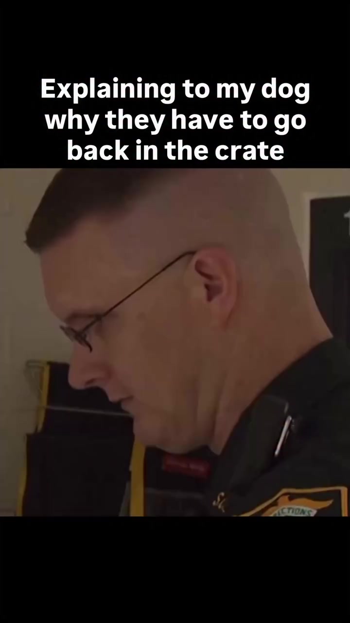 @vandewilder