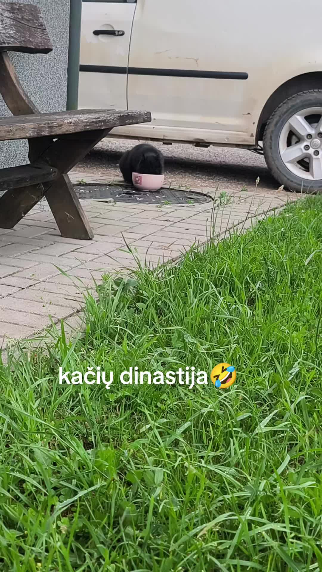 @🐰🐰 Zuikyyyys 🐰🐰