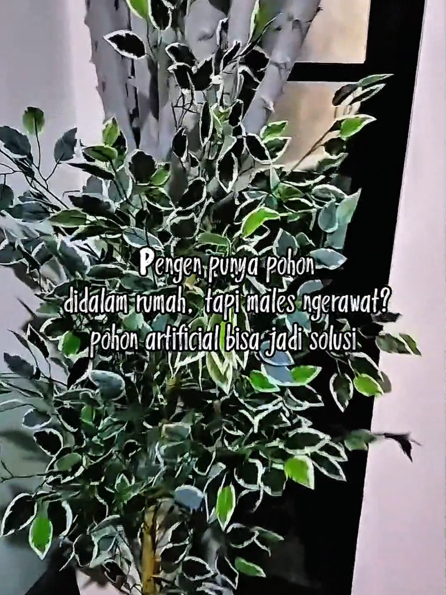 @&ordm;๑Alyunda๑&ordm;๑
