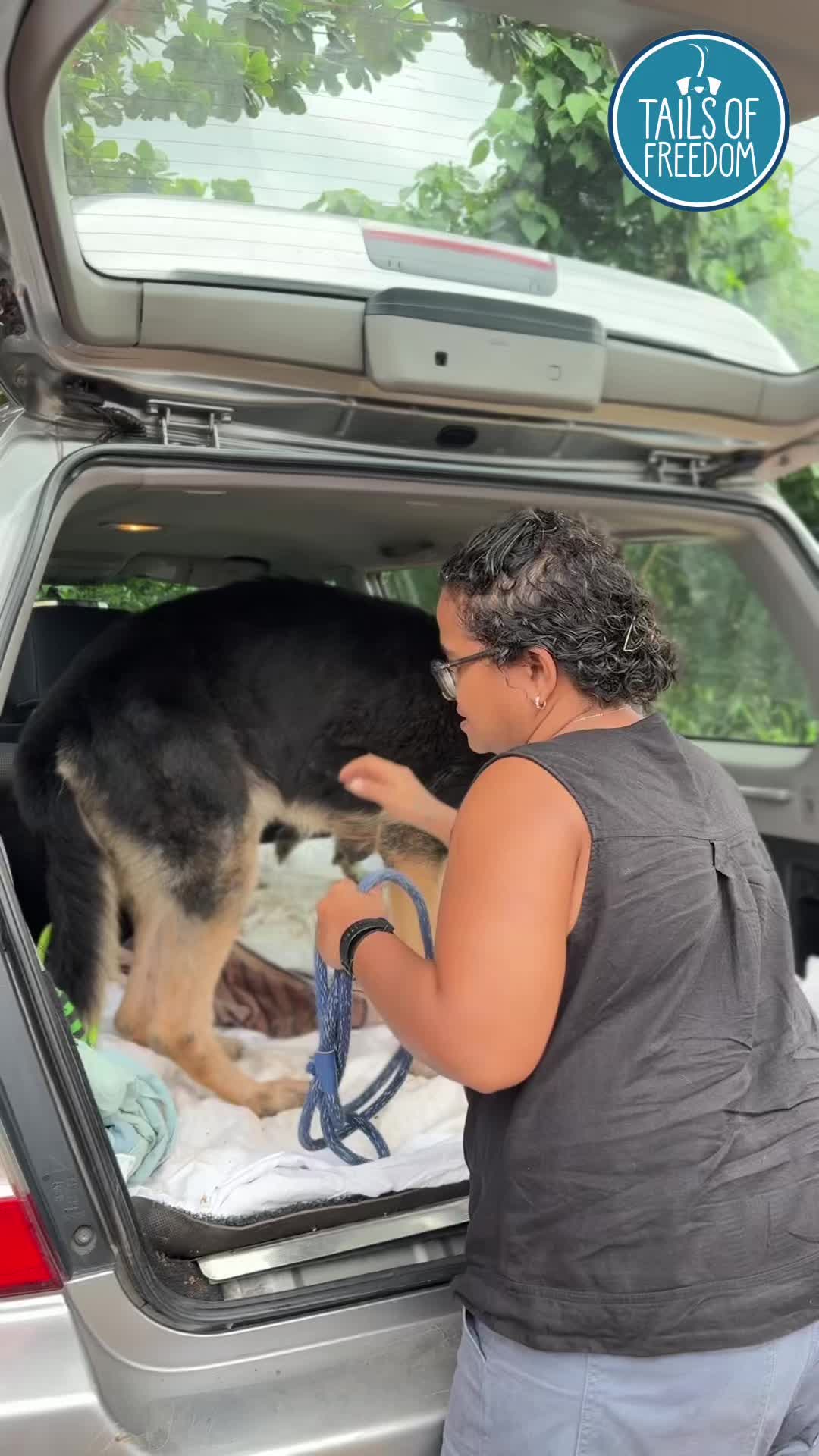@tailsoffreedomsl