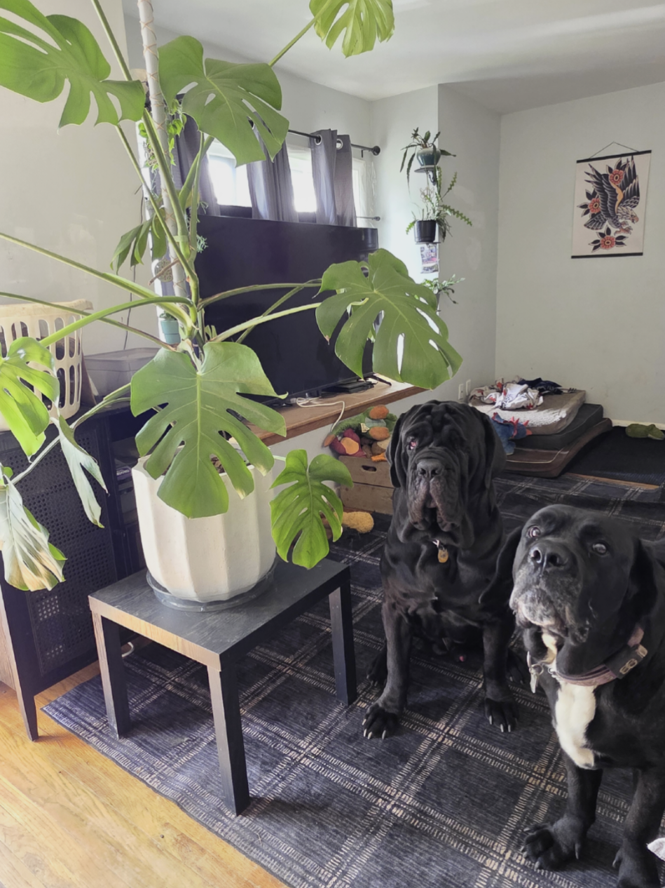 @Brandy