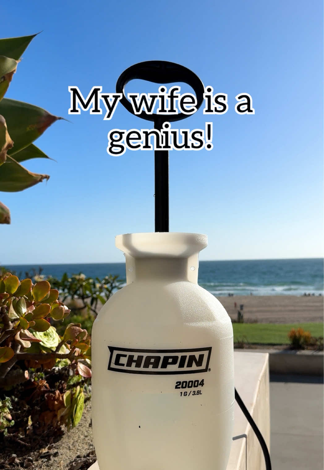 @Jeff & Lauren