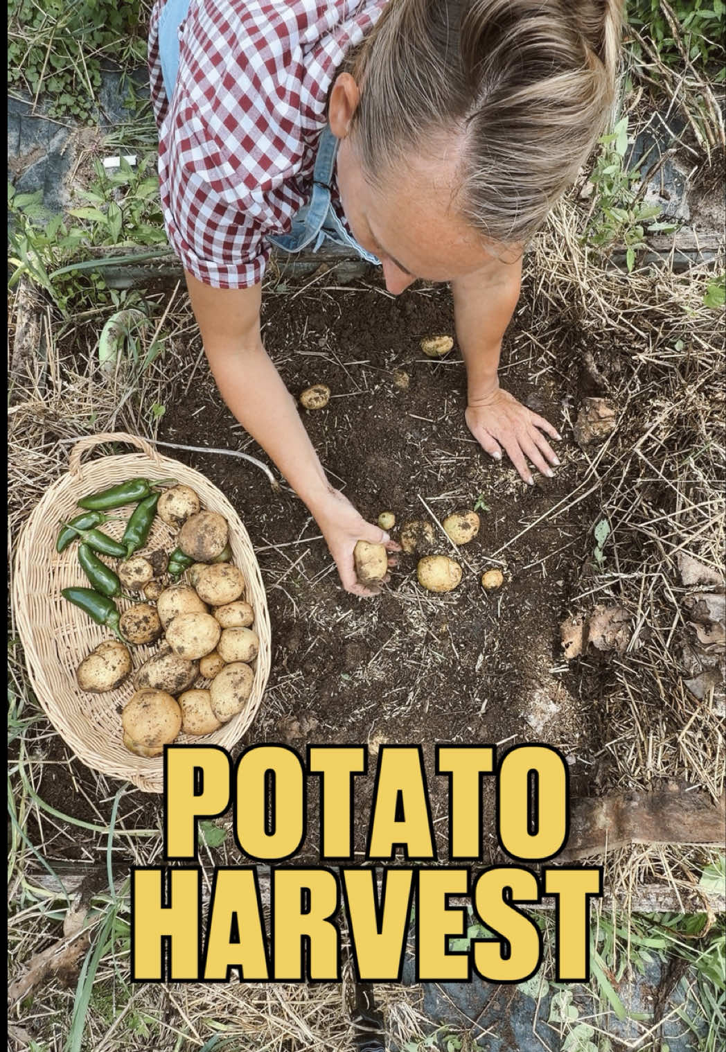 @FarmVogue