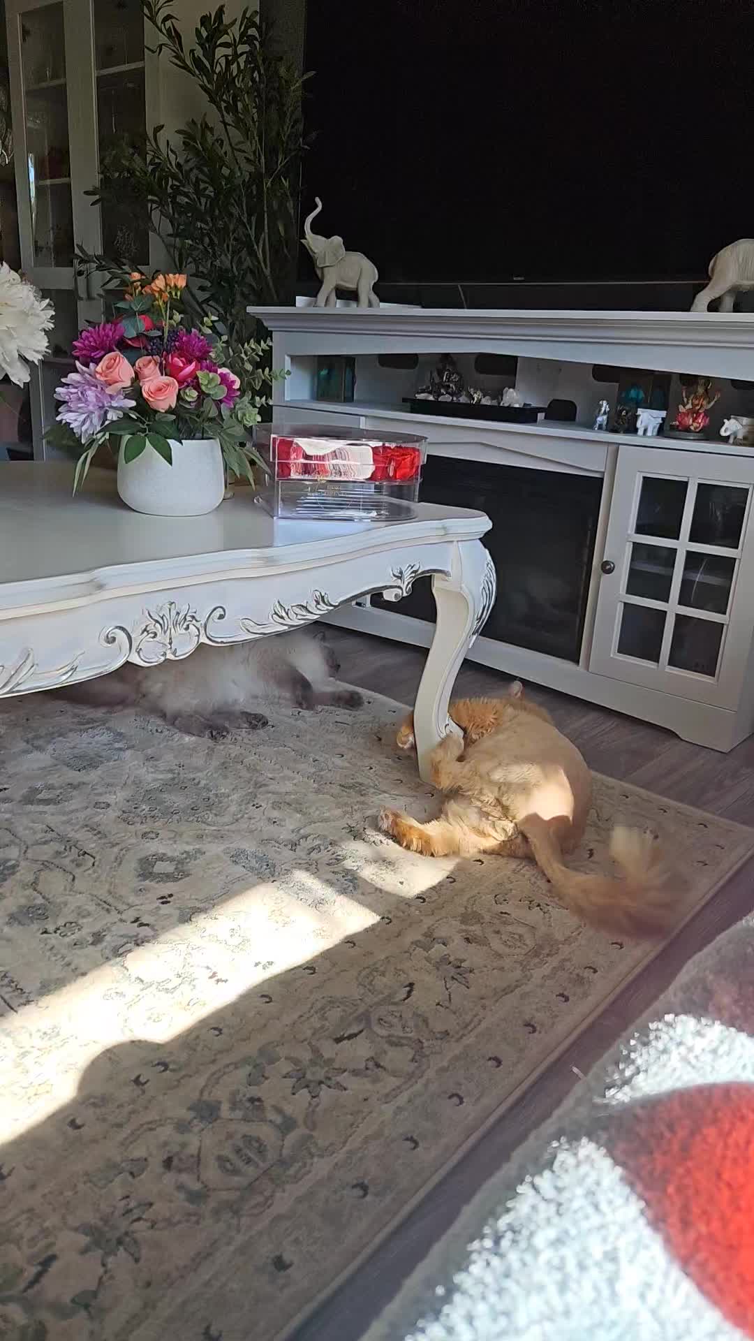 @ꪜꪖꪶꫀ𝘳𝓲ꫀ 🎀