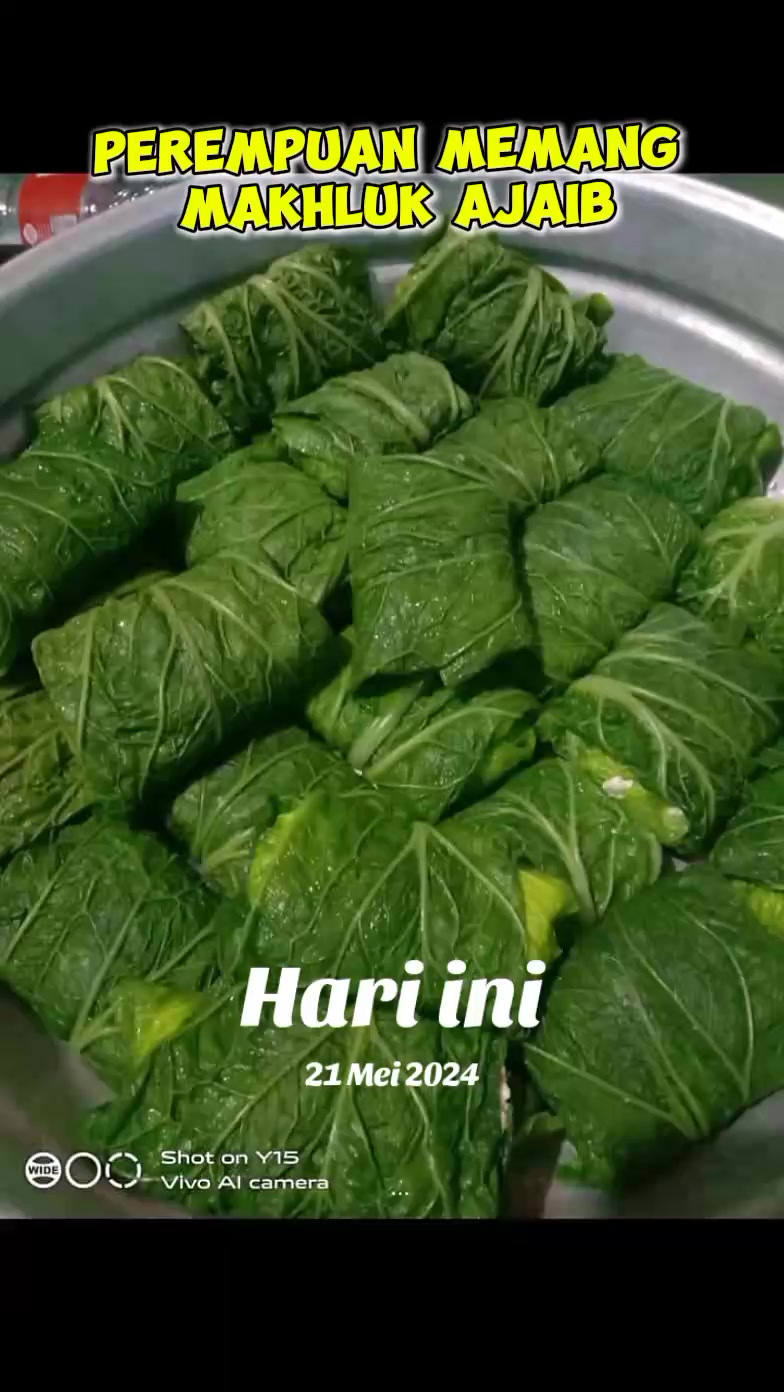 @๐ฑ 4N4BUL 93MBUL ๐ฑ