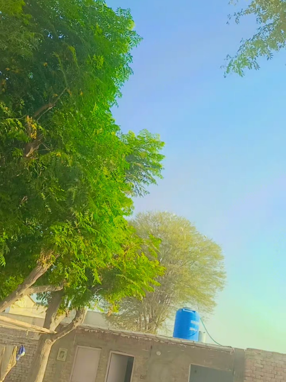 @A.  Z