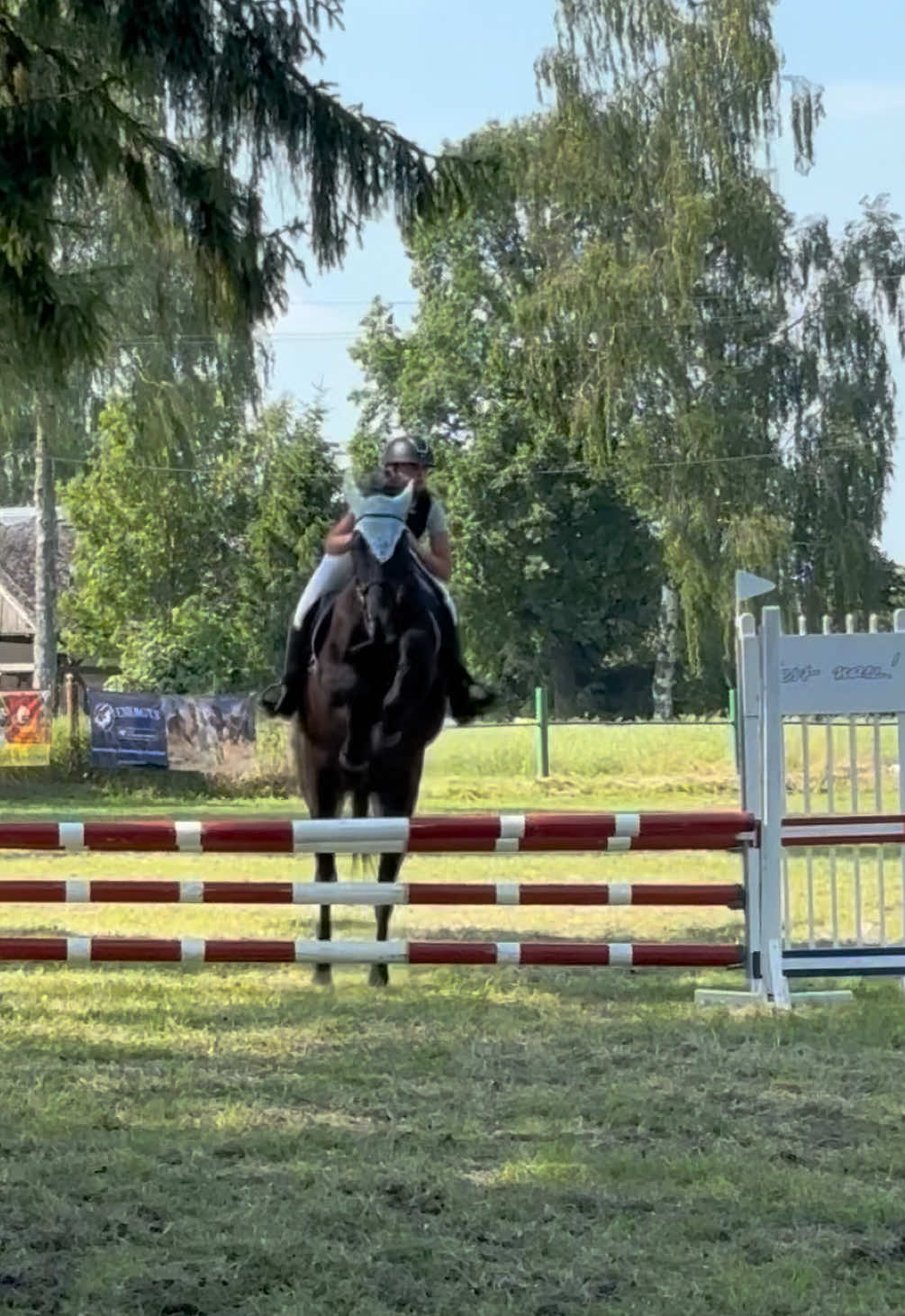 @💋🐴