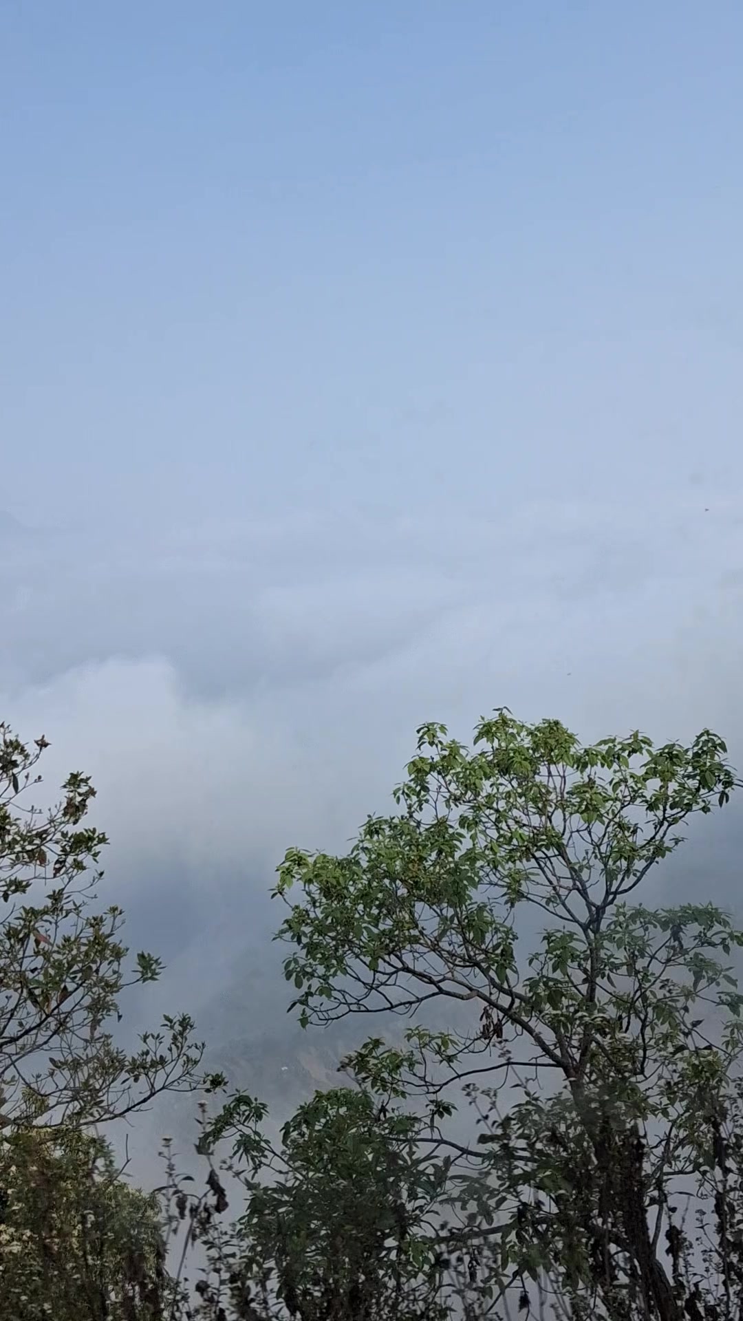 @Dilu Thapa Magar