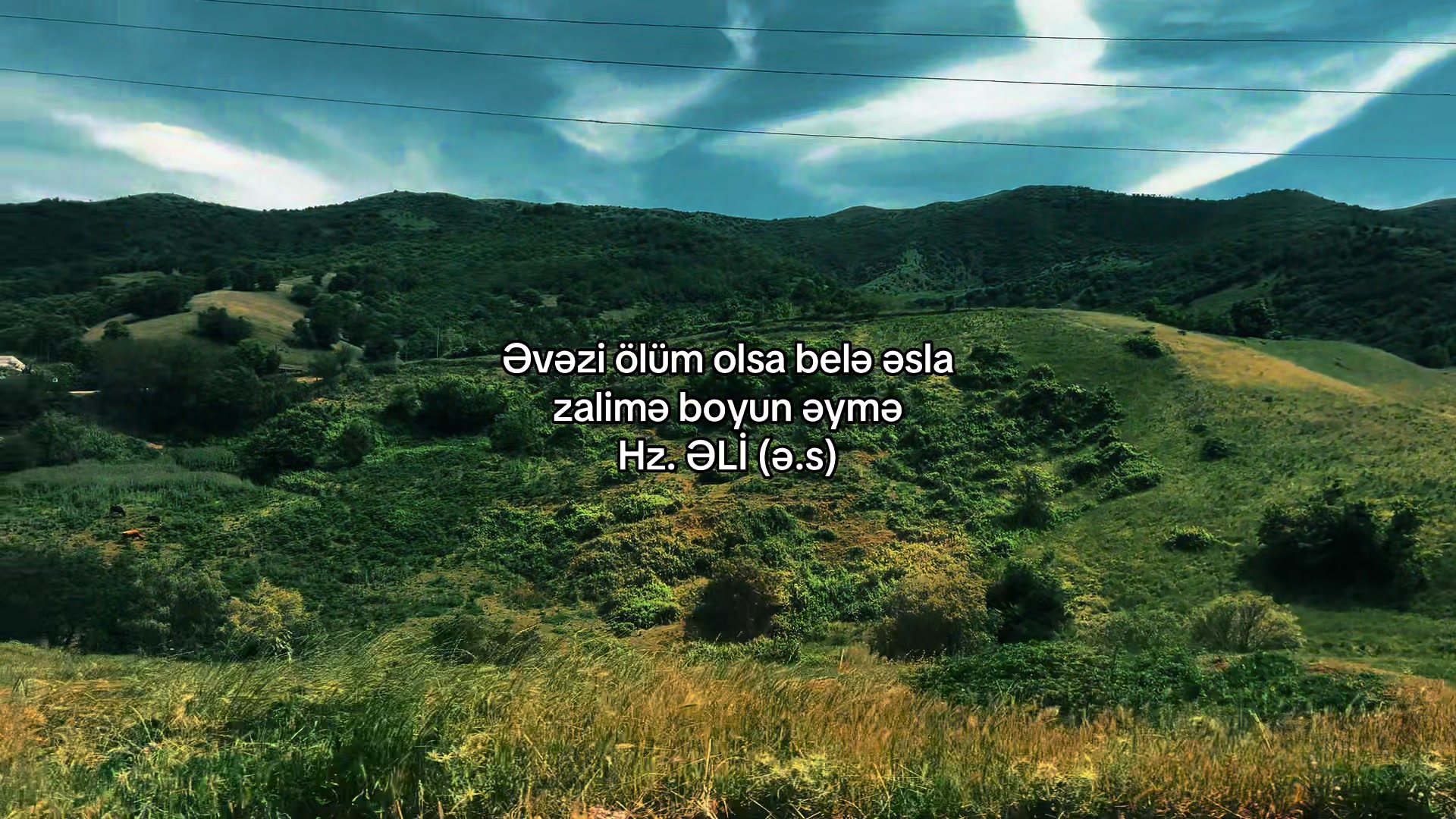 @aliyeff999🇦🇿🖤🤼♂️