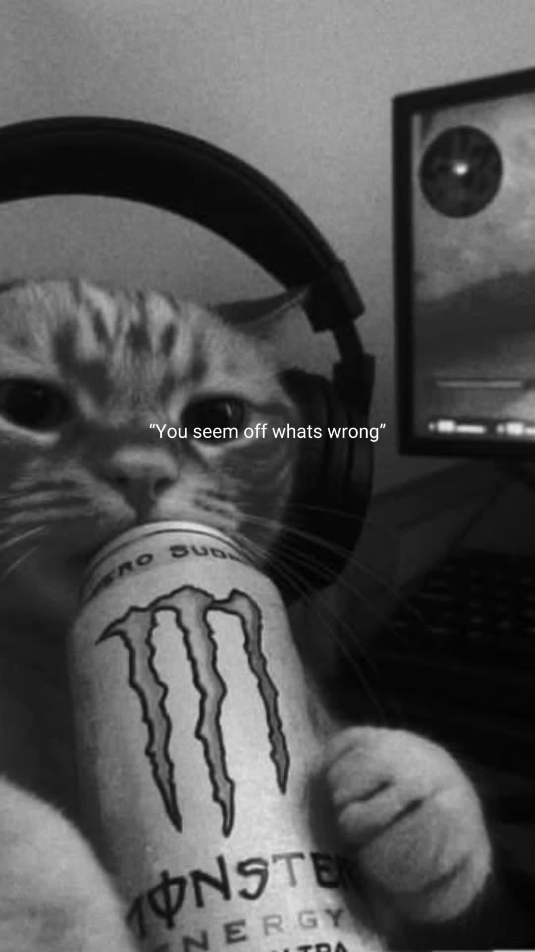 @👌jk👌