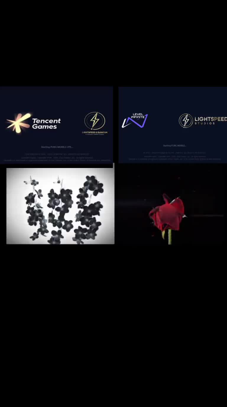 @𓆩HARLI 𓆪