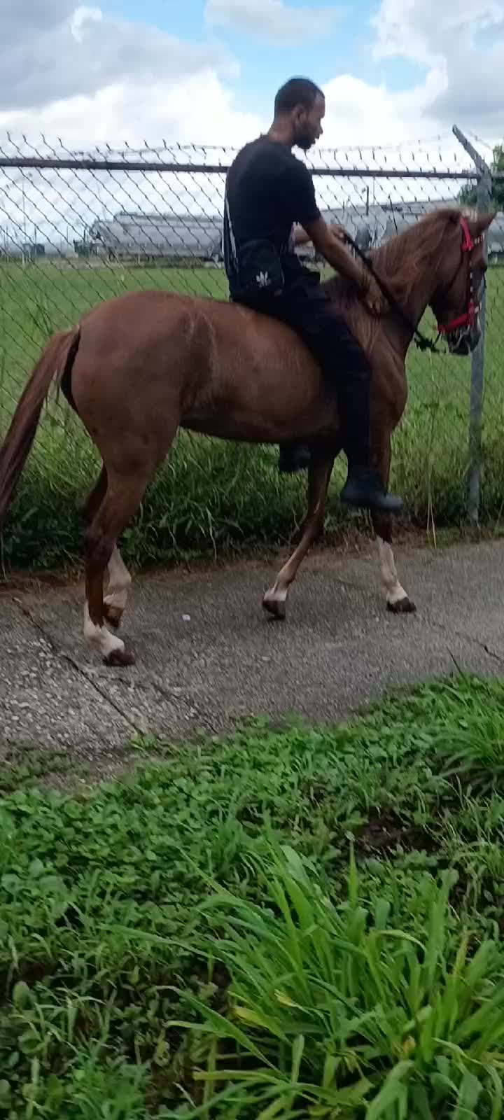 @Hacienda Los Queridos