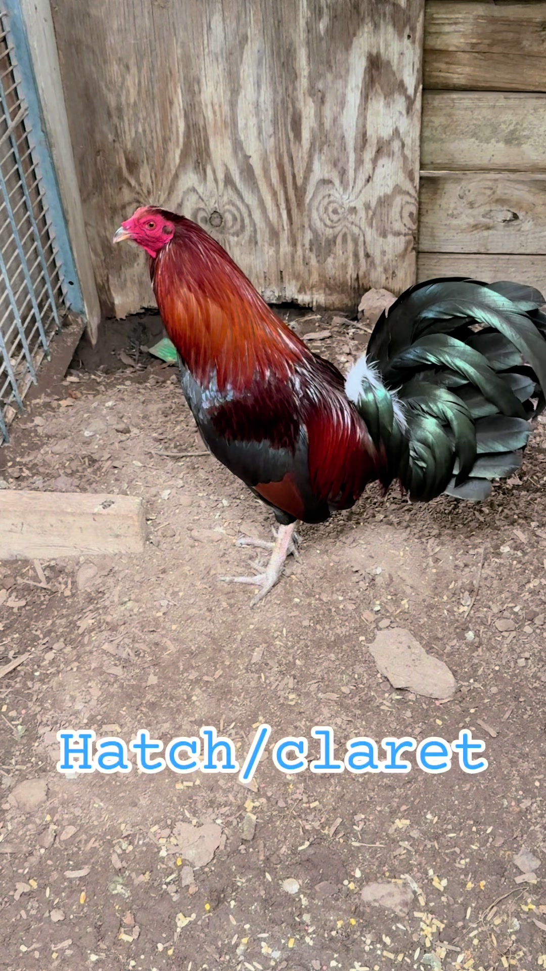 @Bryan Gamefarm