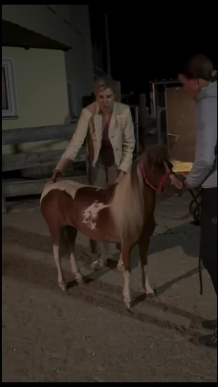 @ThunderGallops