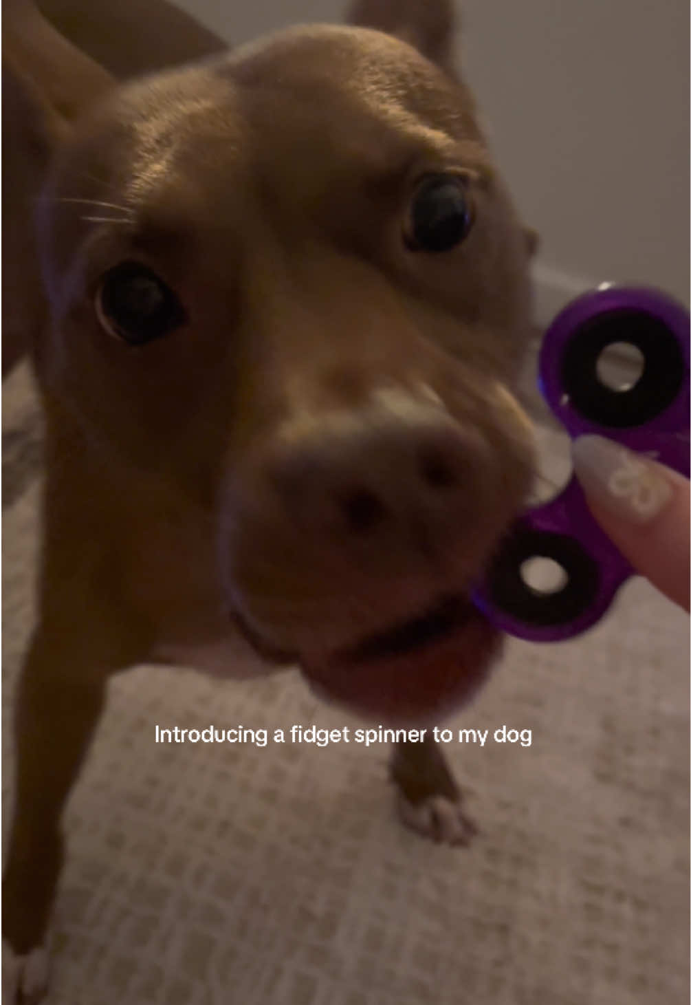 @Noel 🎀🤸♀️