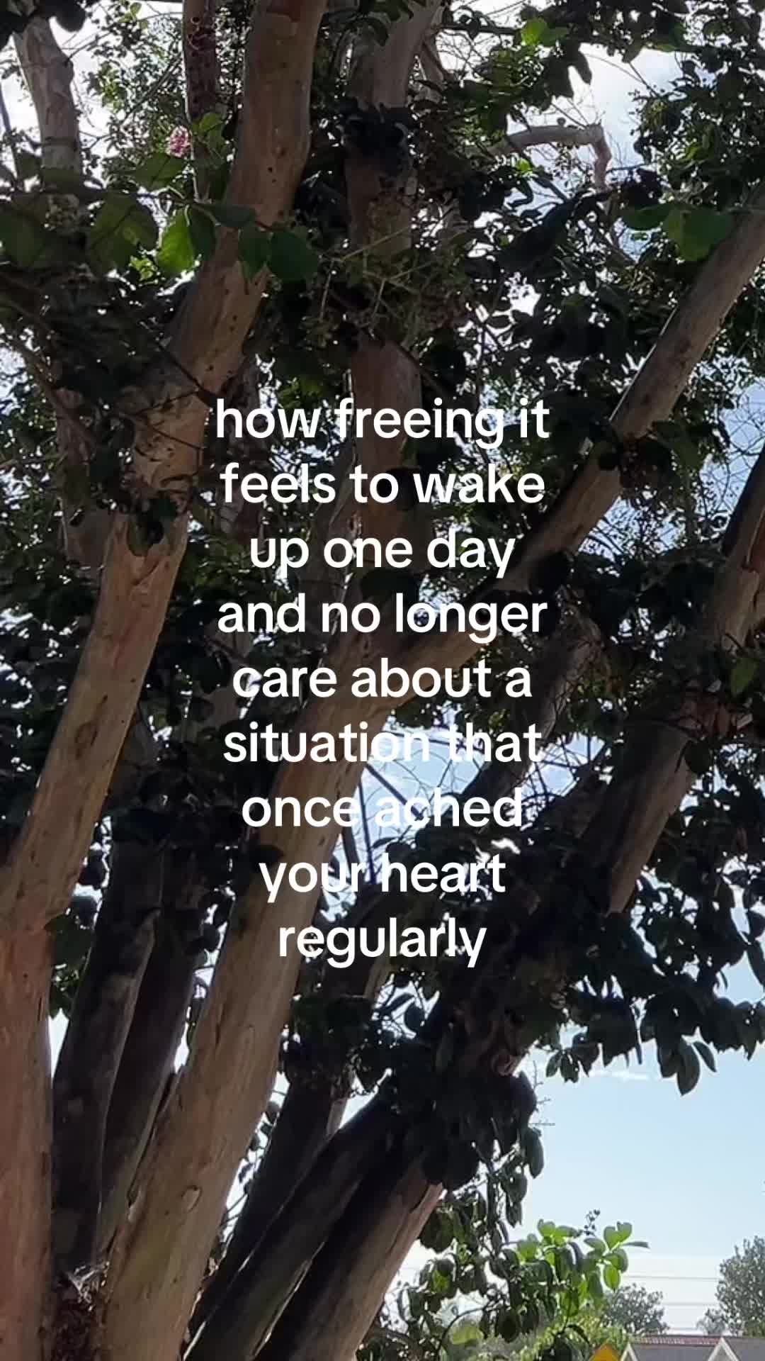 @sugarappletree