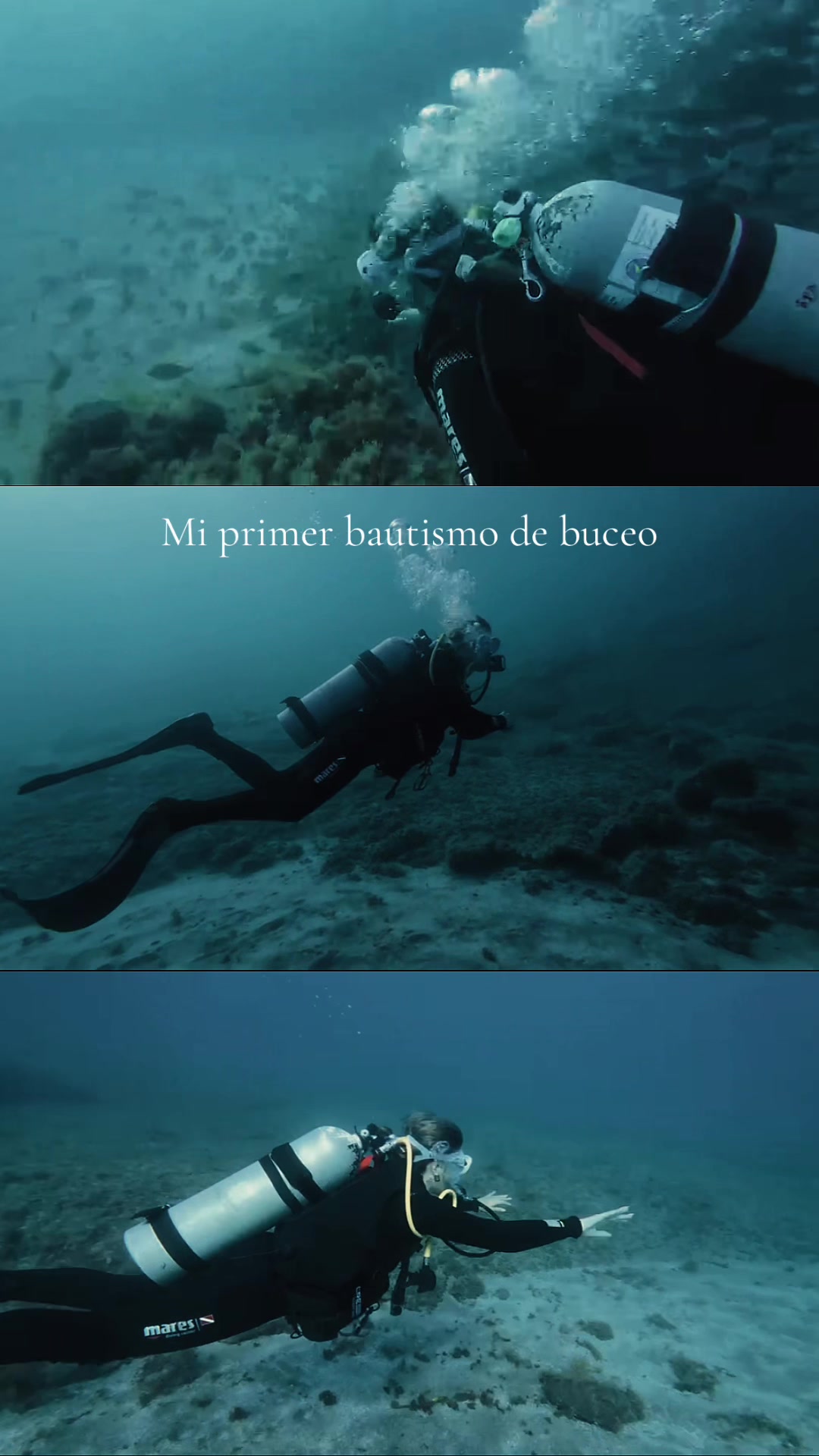@Paula Ortega🇮🇨