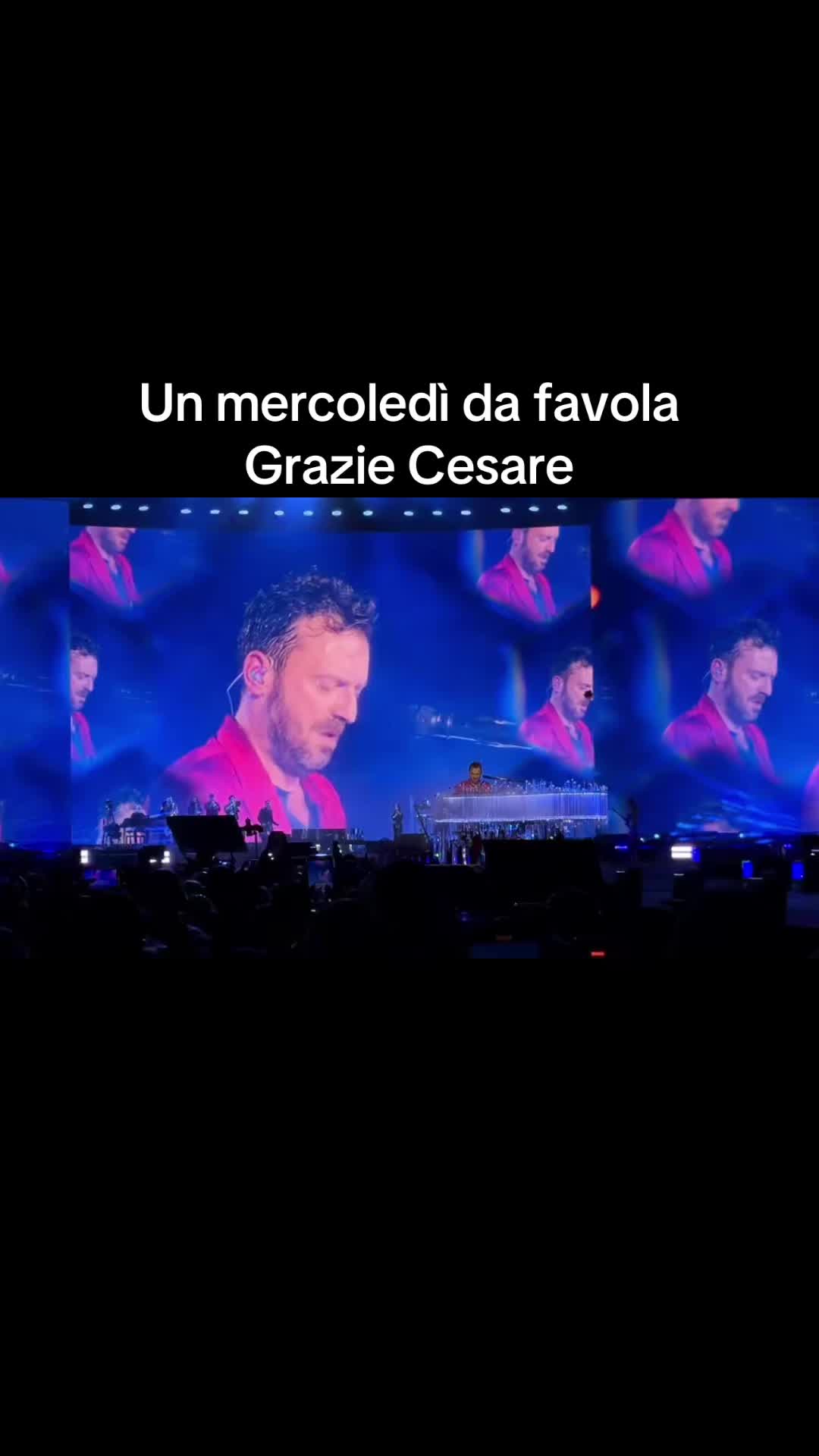 @stefaninofila