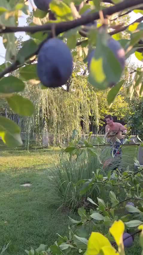 @silviuscintee