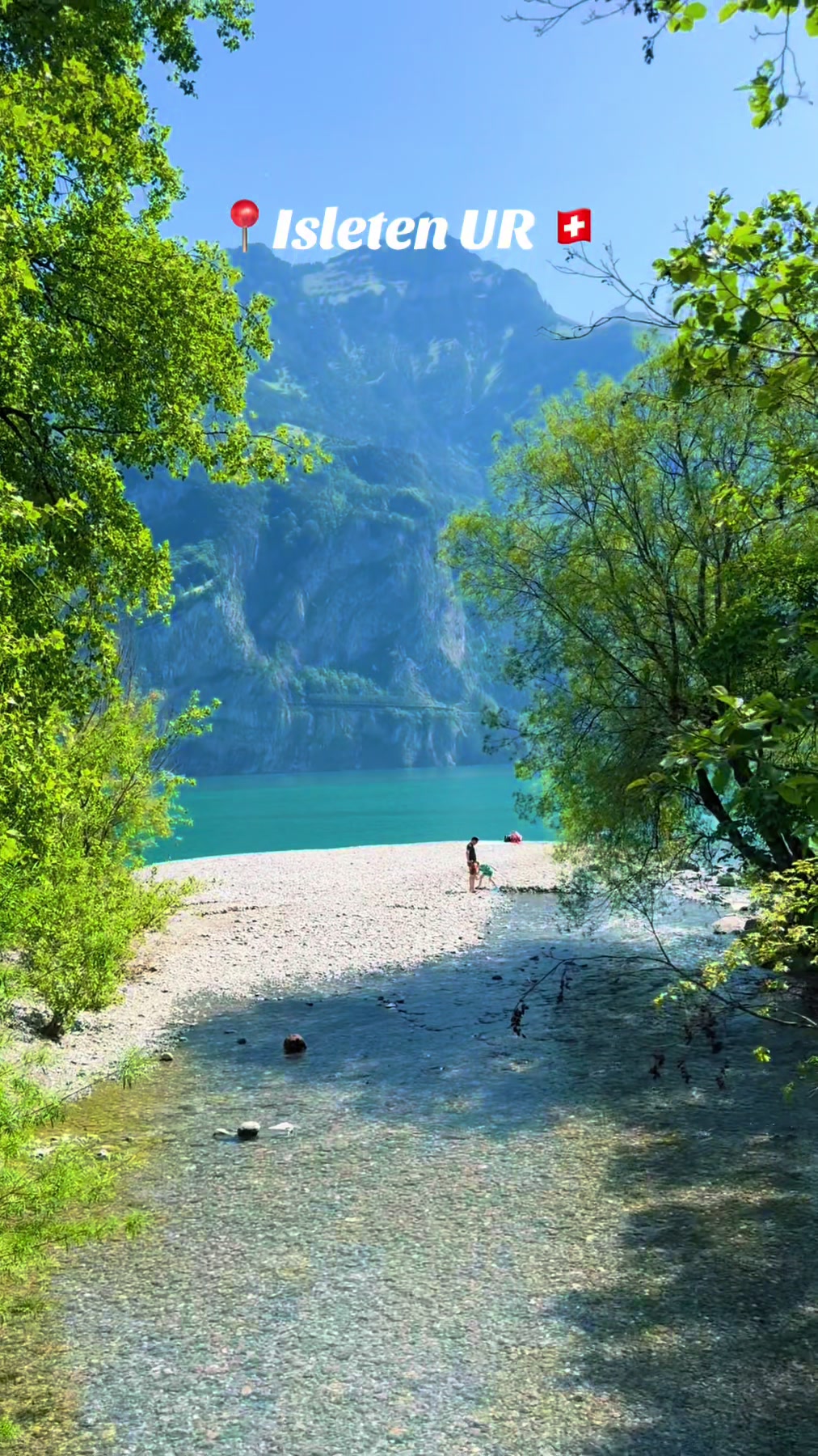 @swiss_alps