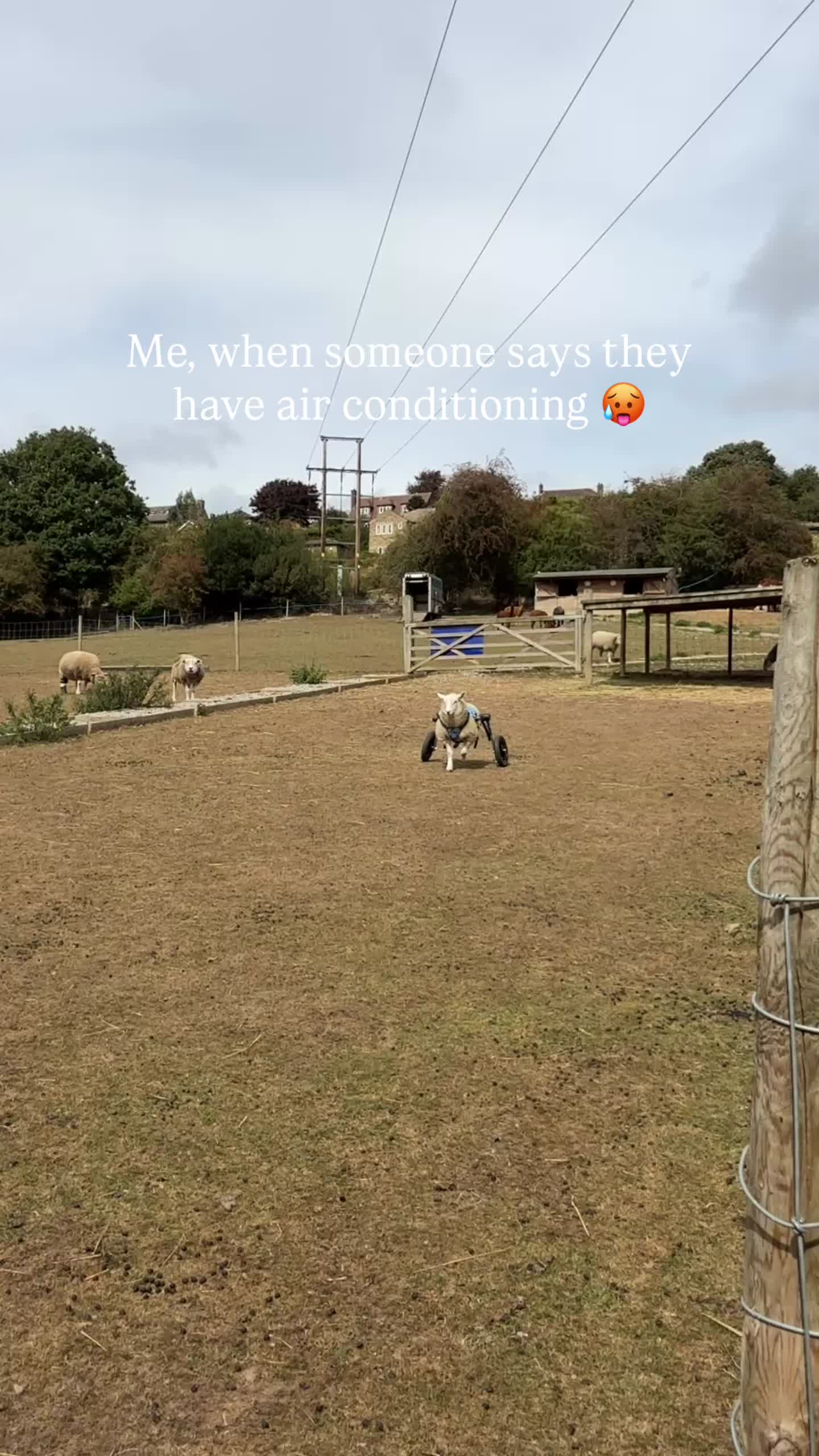 @itsthatfarmguy