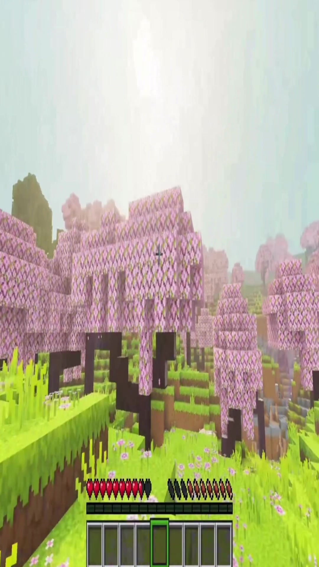 @TheEnderMan