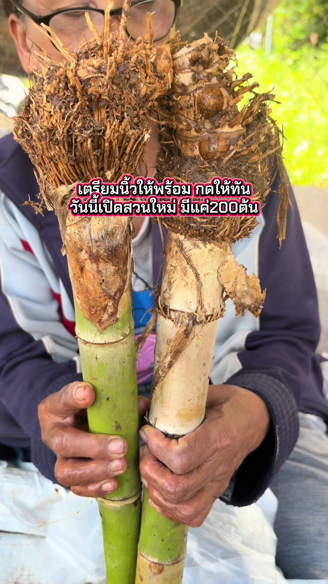 @นัดดาชอป
