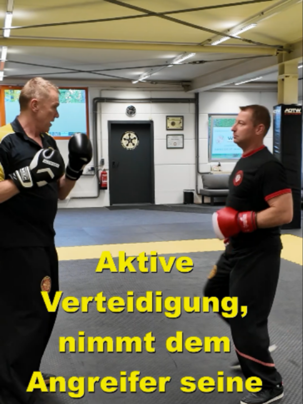 @Sifu Martin Hofmann