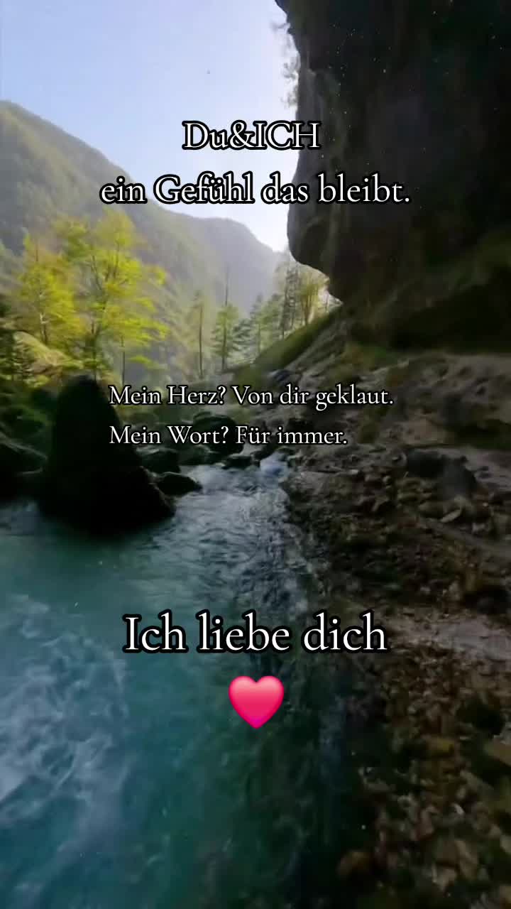 @Mr.zitat (joschy)