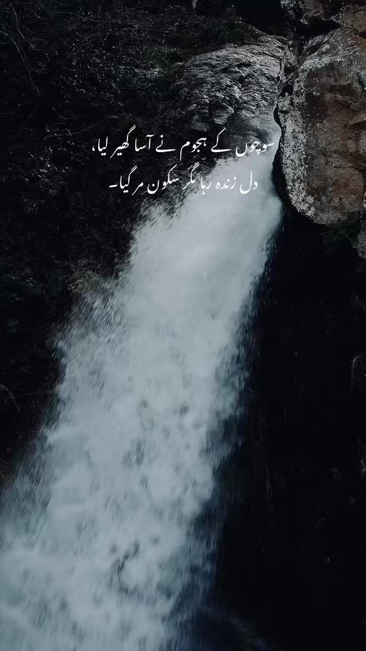 @𝙃𝘼𝙄𝘿𝙀𝙍 🐻&zwj;❄️