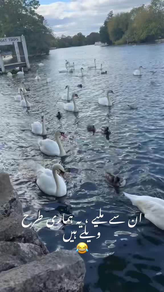 @🌷Yasmin Bhatti🌷