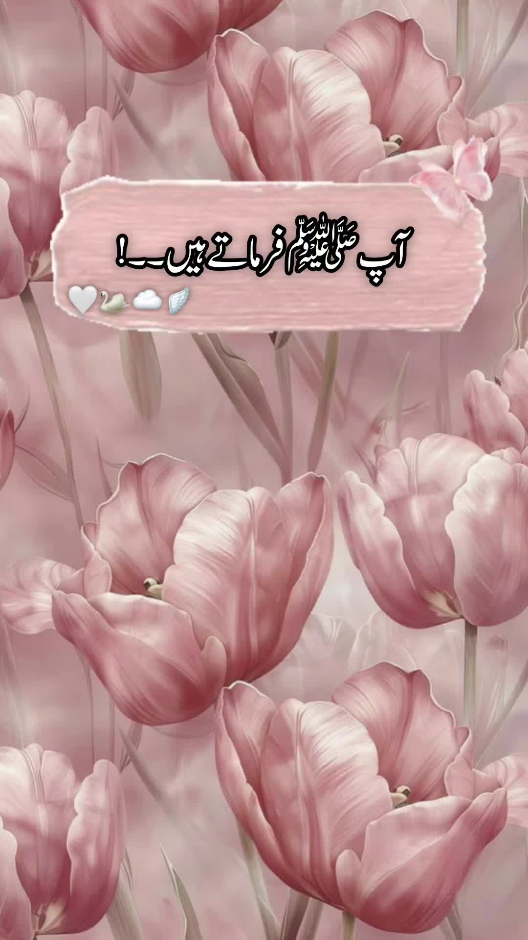 @🦋