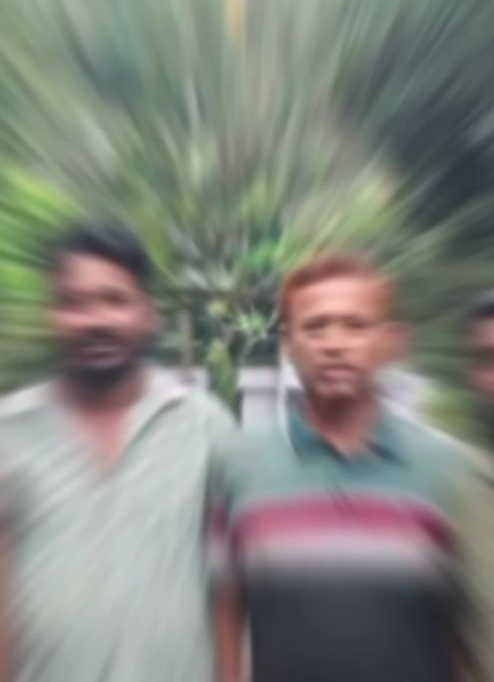 @MD AIomgir 772