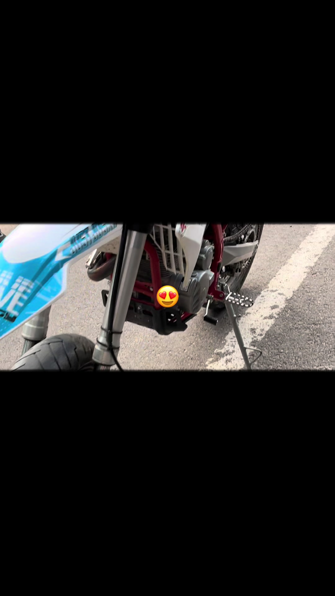 @Damy🦅🐊