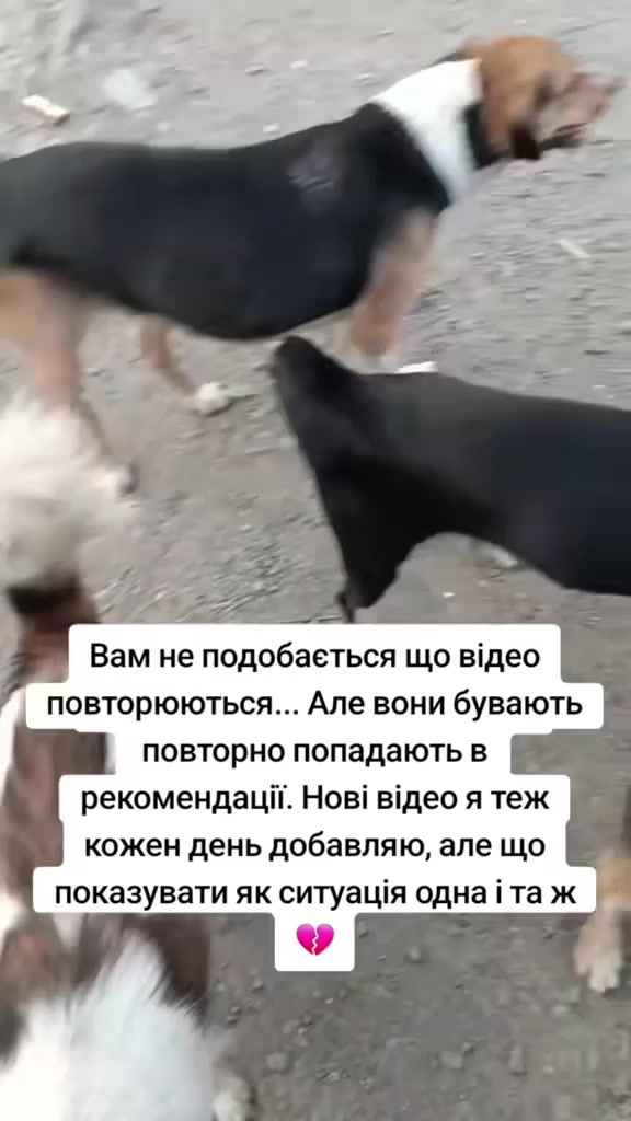 @tvarinkidobra