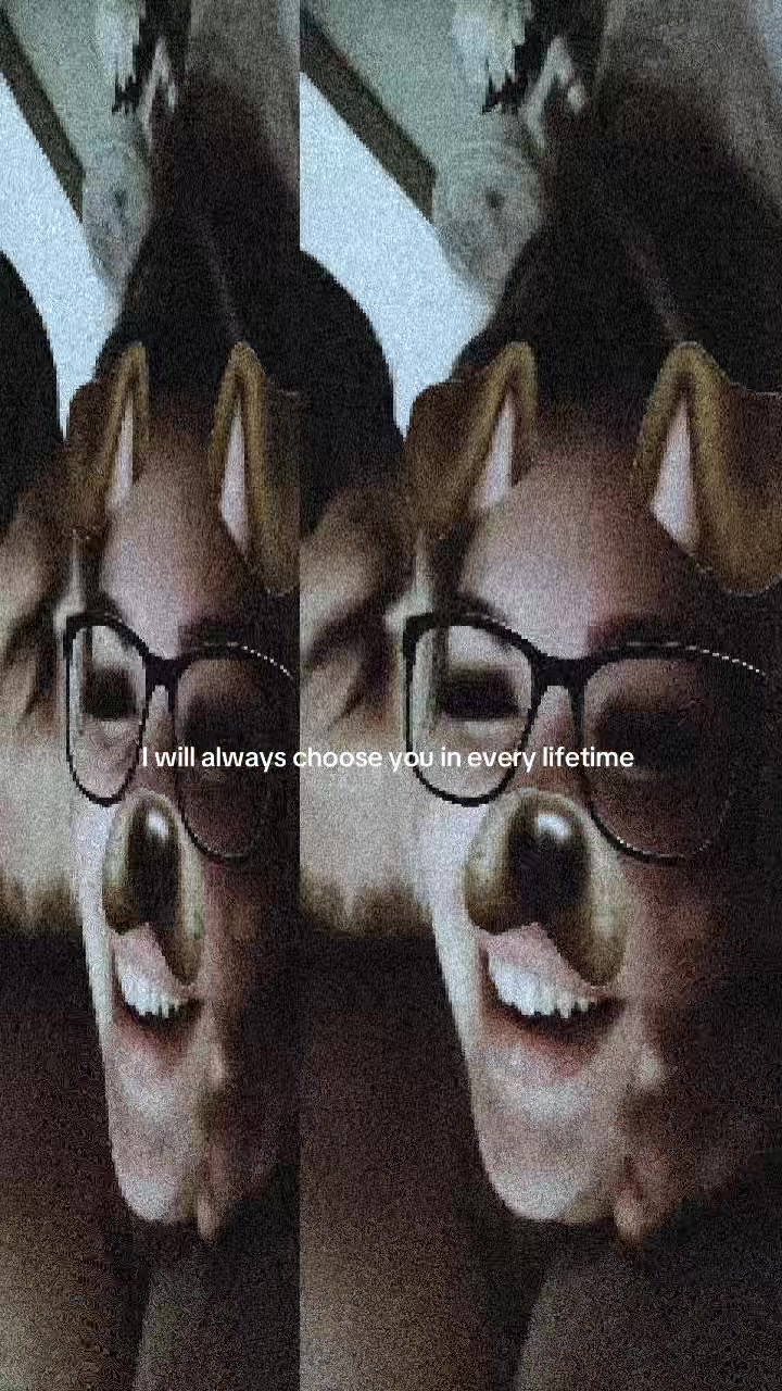 @Ell