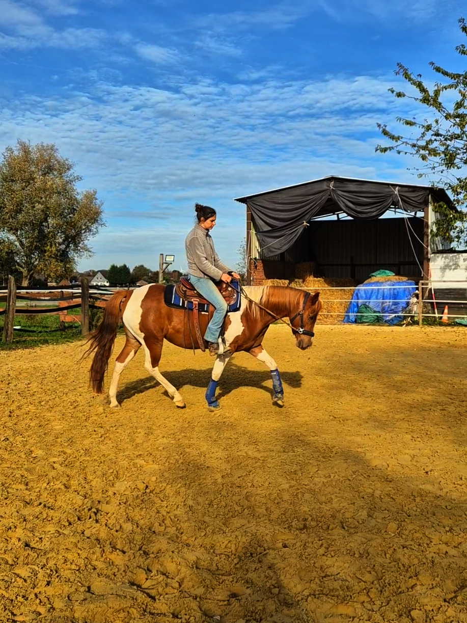 @~ Pearl Hart Ranch ~