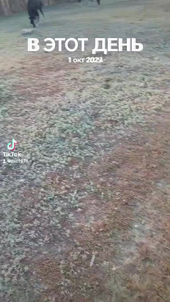 @гулак Юрий
