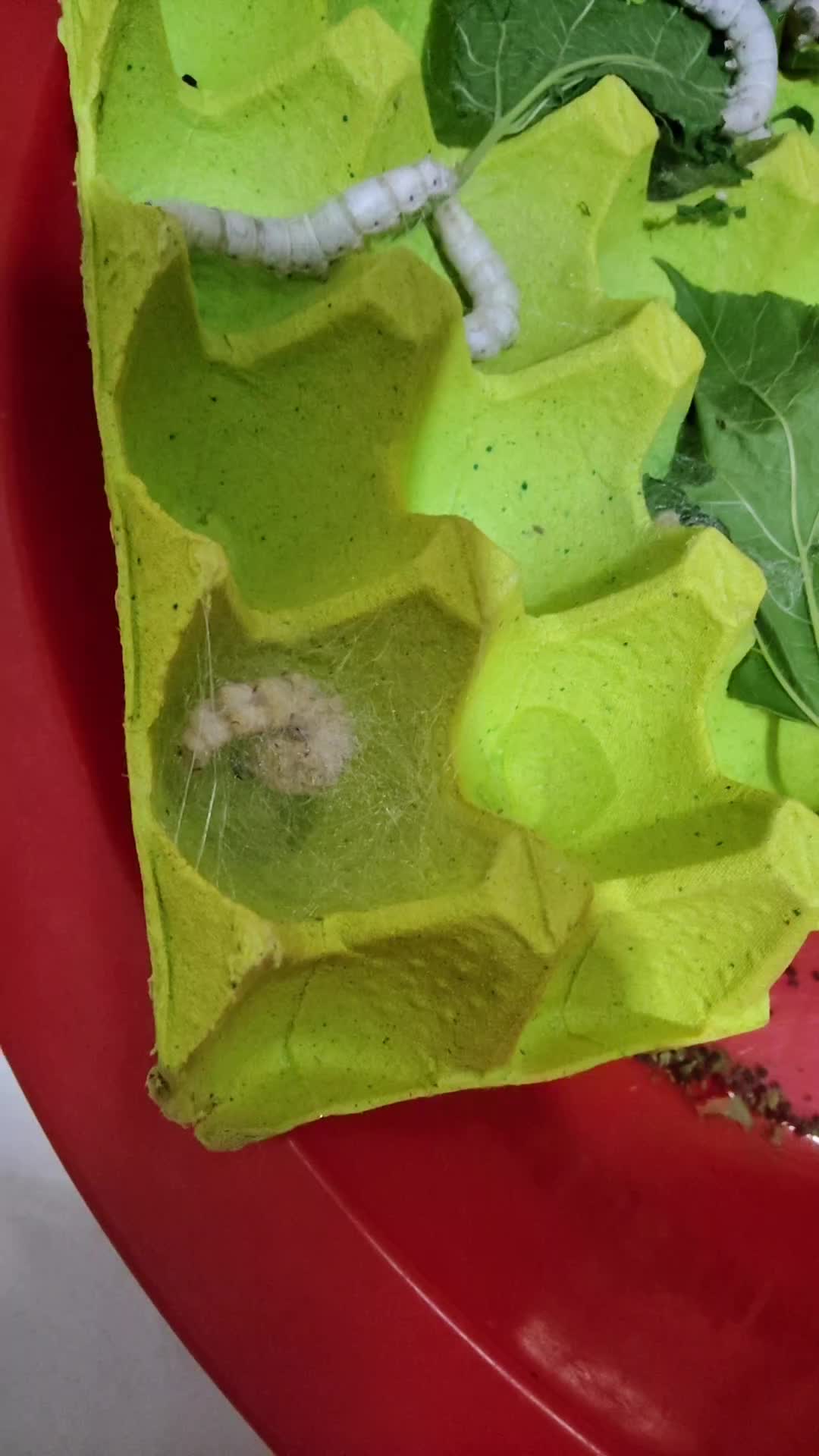 @辉辉