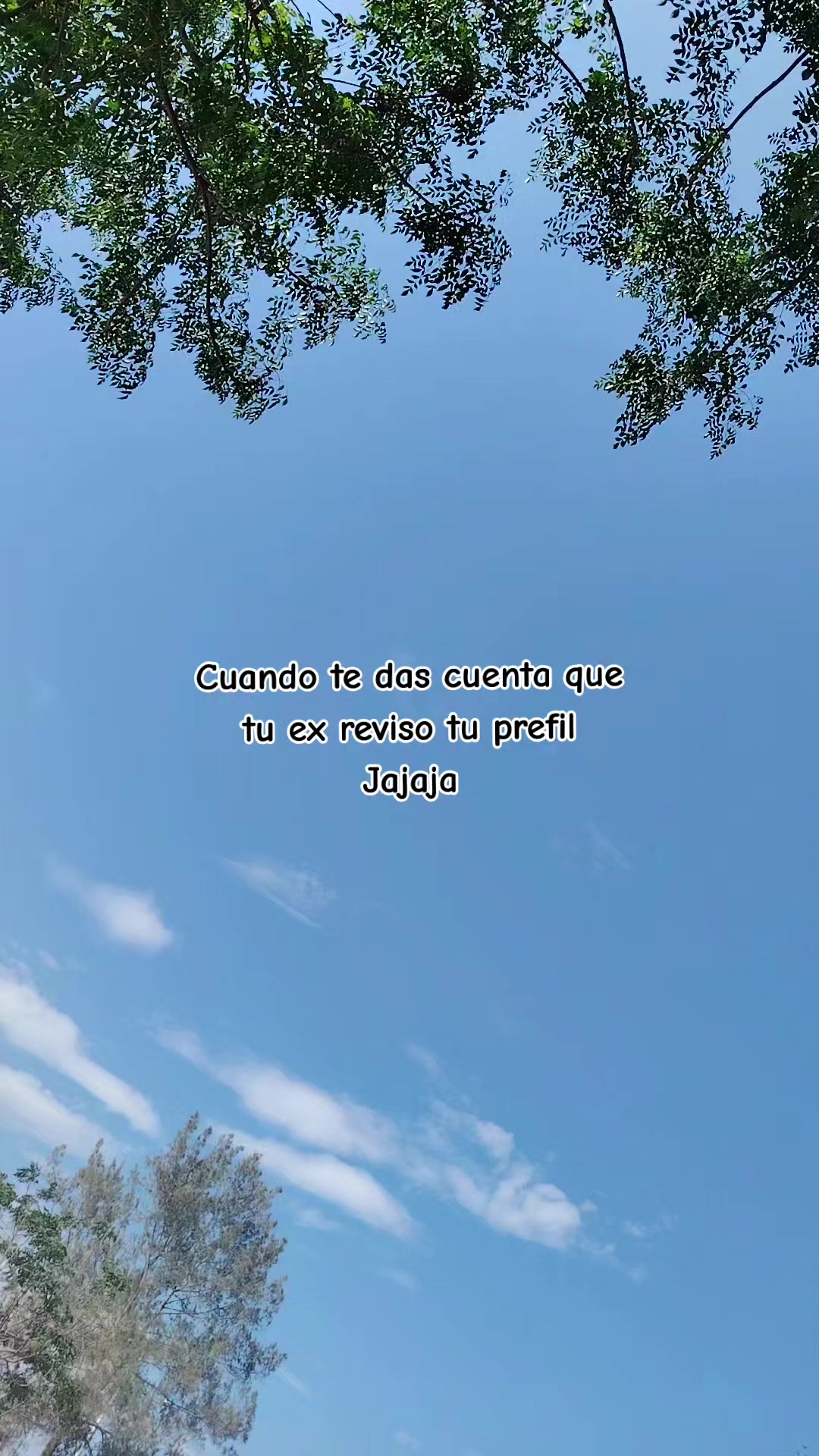 @🦋 Nery Villanueva ❤️💫