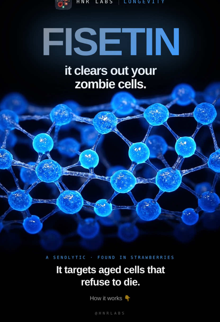 @HNR Labs